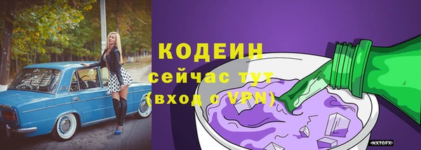 крисы Новодвинск