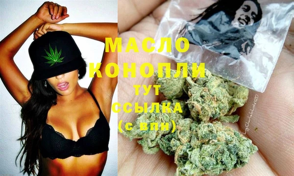 соль ск Новозыбков