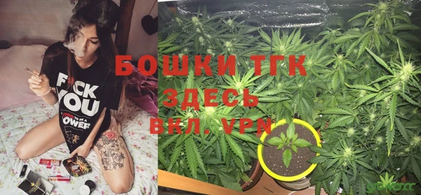 соль ск Новозыбков
