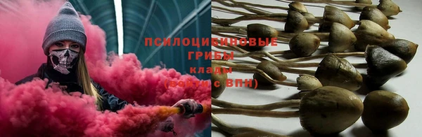 гашиш Новокубанск