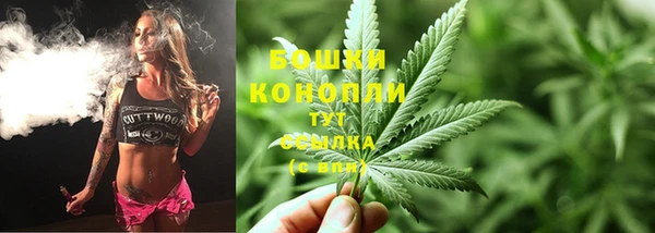 крисы Новодвинск