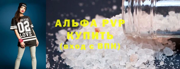 крисы Новодвинск