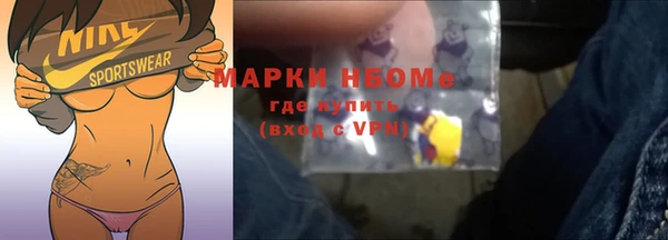 соль ск Новозыбков