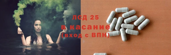 крисы Новодвинск