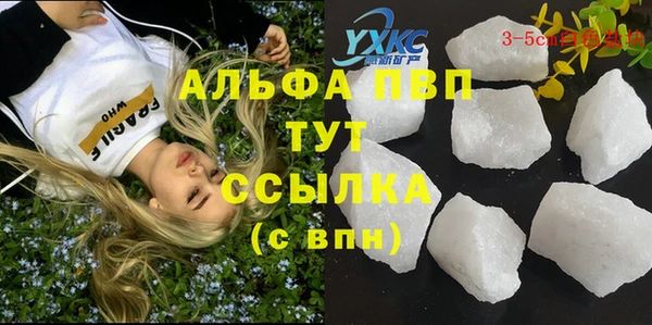 соль ск Новозыбков