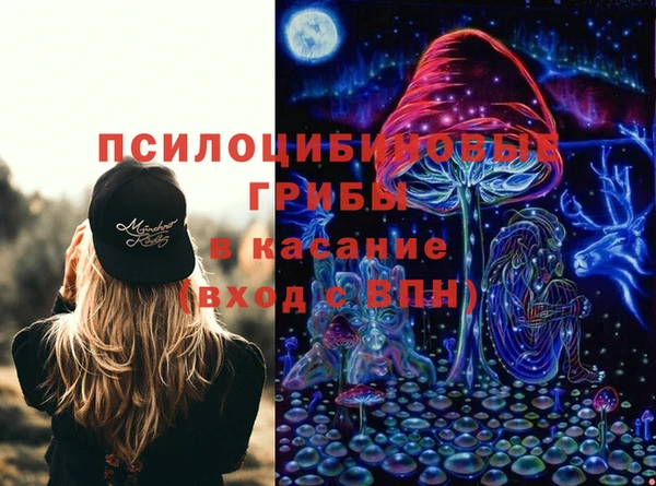 винт Верея