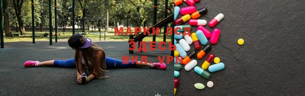 крисы Новодвинск