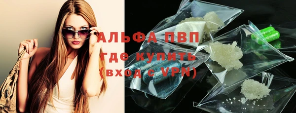 соль ск Новозыбков