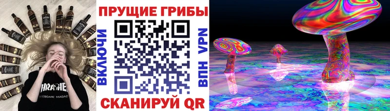 хочу Тосно Псилоцибиновые грибы мухоморы