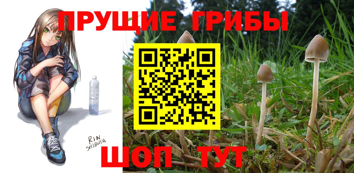 Гашиш  Меф МЯУ МЯУ кристаллы  A-PVP СОЛЬ кристаллы  Тосно  МАРИХУАНА  Мефедрон кристаллы  Метадон 